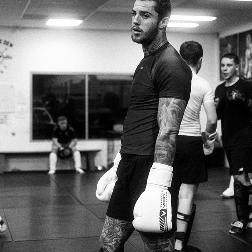 VERO - Counter-Series Boxing Gloves - White & Blue