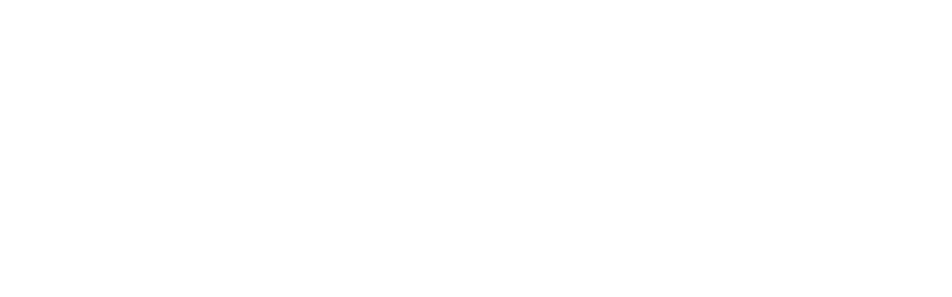 Vero Fightwear